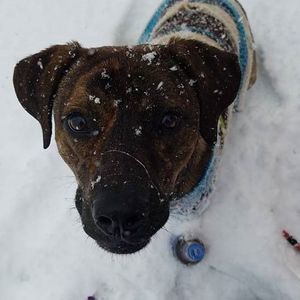 Meet your Posher, Samantha